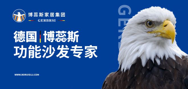 能沙发专家 大国隐形冠军凯发首页登录博蕊斯——功(图2)