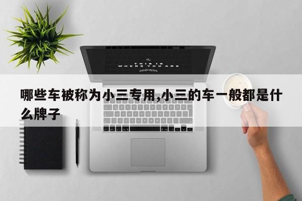 用小三的车一般都是什么牌子凯发k8哪些车